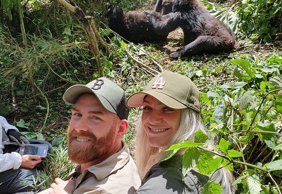 Gorilla trekking