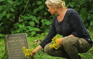 Rwanda safaris