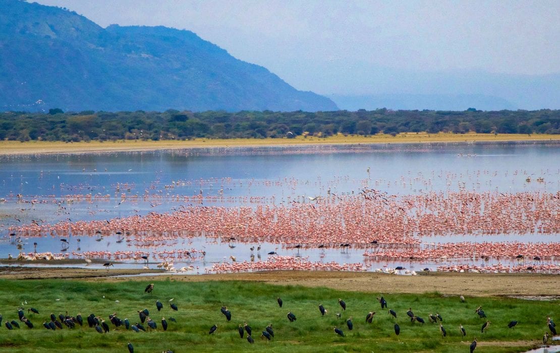 9 days northern tanzania safari