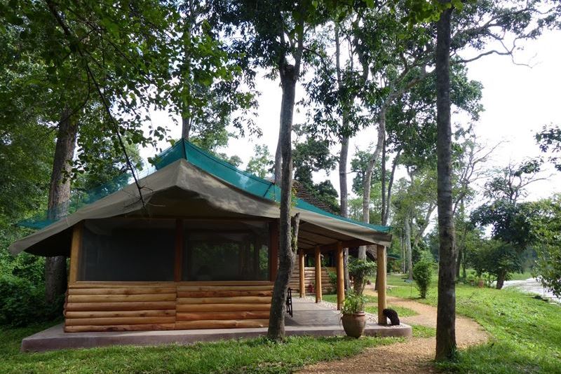 Ishasha wilderness