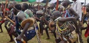 Top Safari Experiences in Uganda