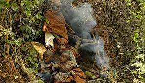 3 Days Uganda gorilla tour