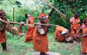 7 Days Uganda safari