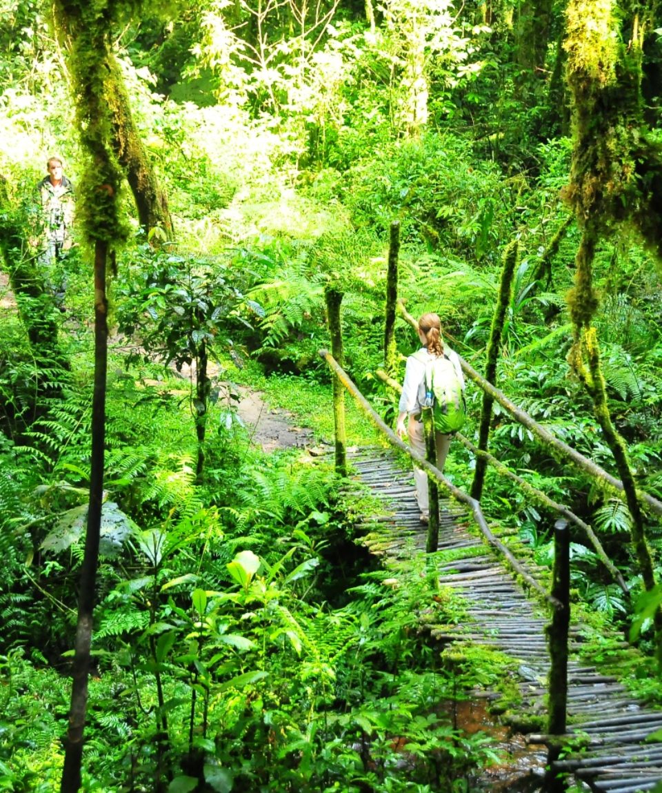ecotourism in uganda