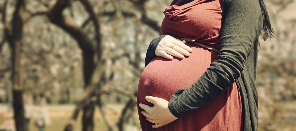 Trekking gorillas when pregnant