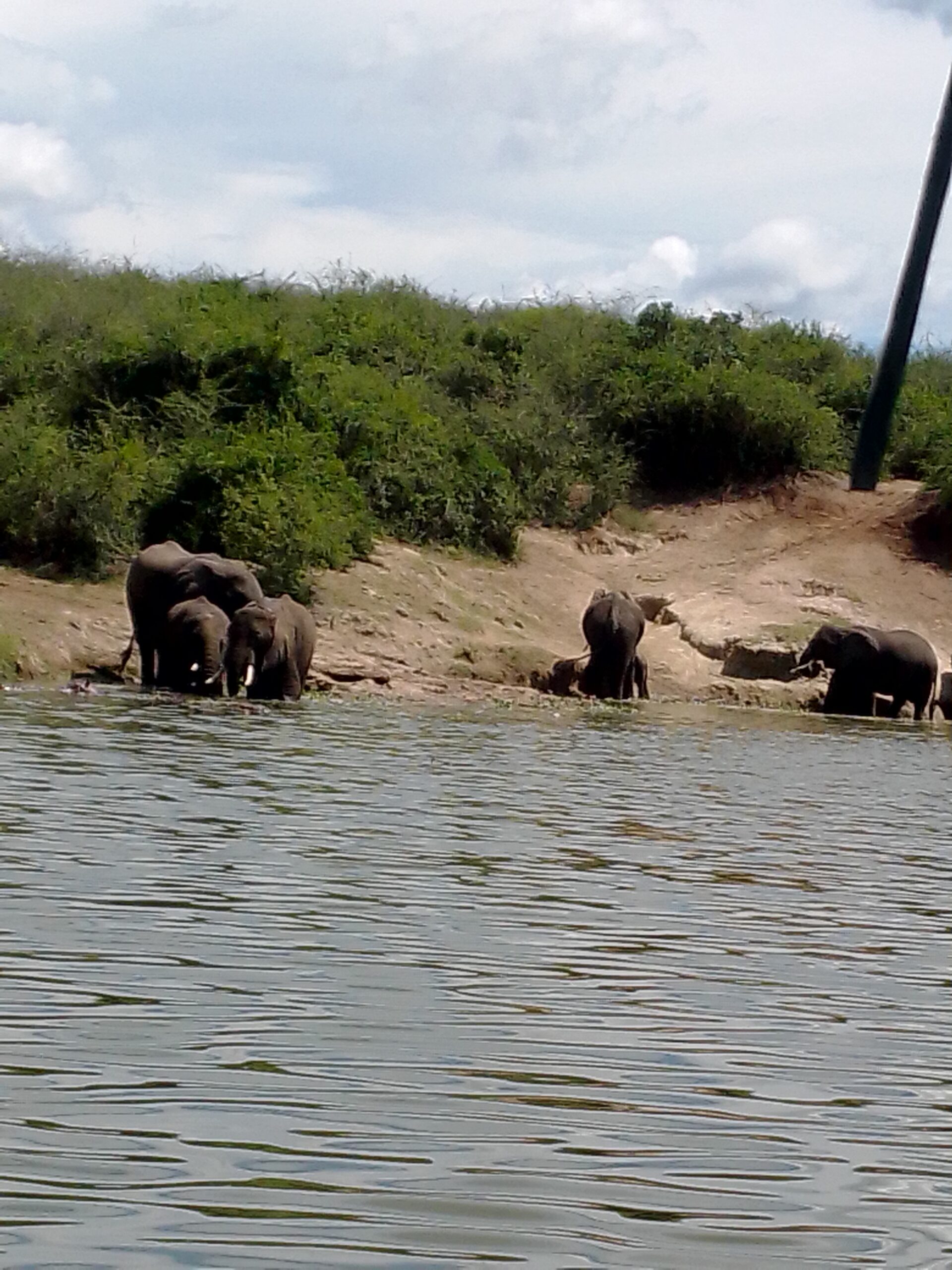 Queen Elizabeth National Park