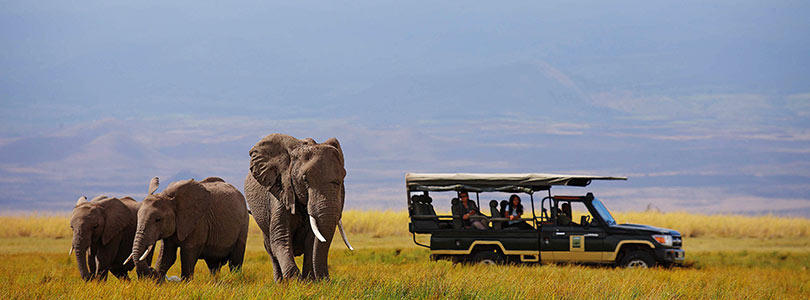 8 Days Kenya Wildlife Safari