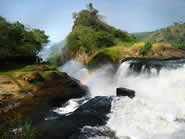 4 Days Uganda Gorillas Safari