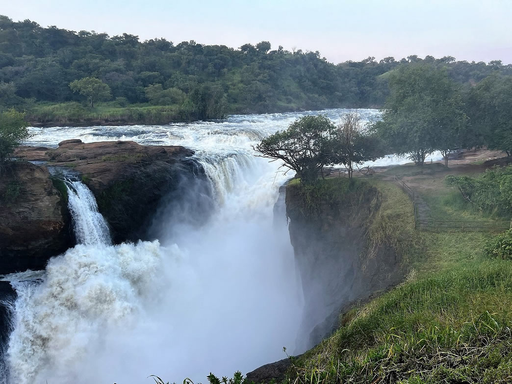 24 days Rwanda Uganda safari