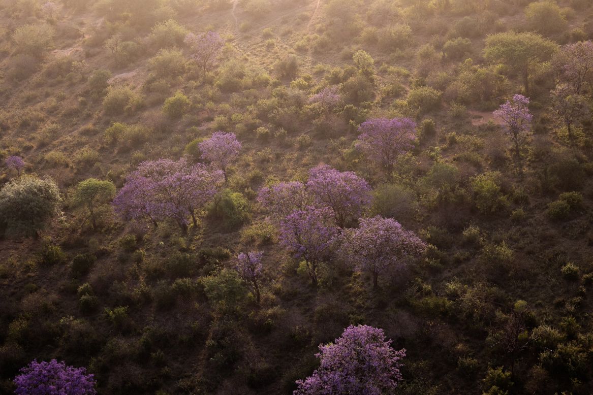 Tsavo Conservation Area