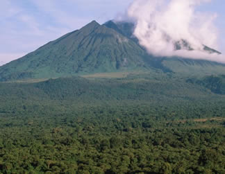 6 Days Congo gorilla safari