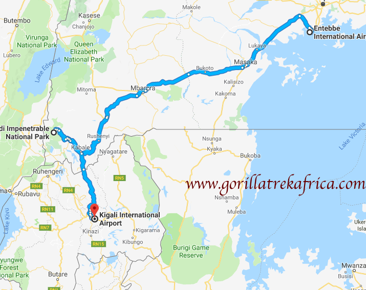 3 Days Gorilla Habituation Tour
