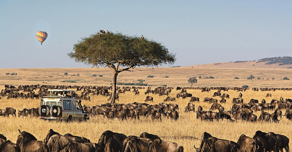 8 Days Kenya Wildlife Safari