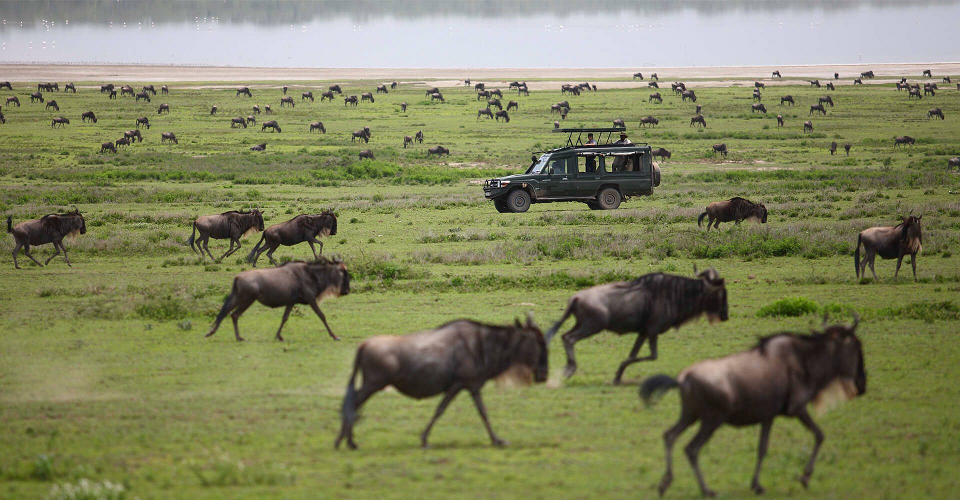 27 days East Arica safari